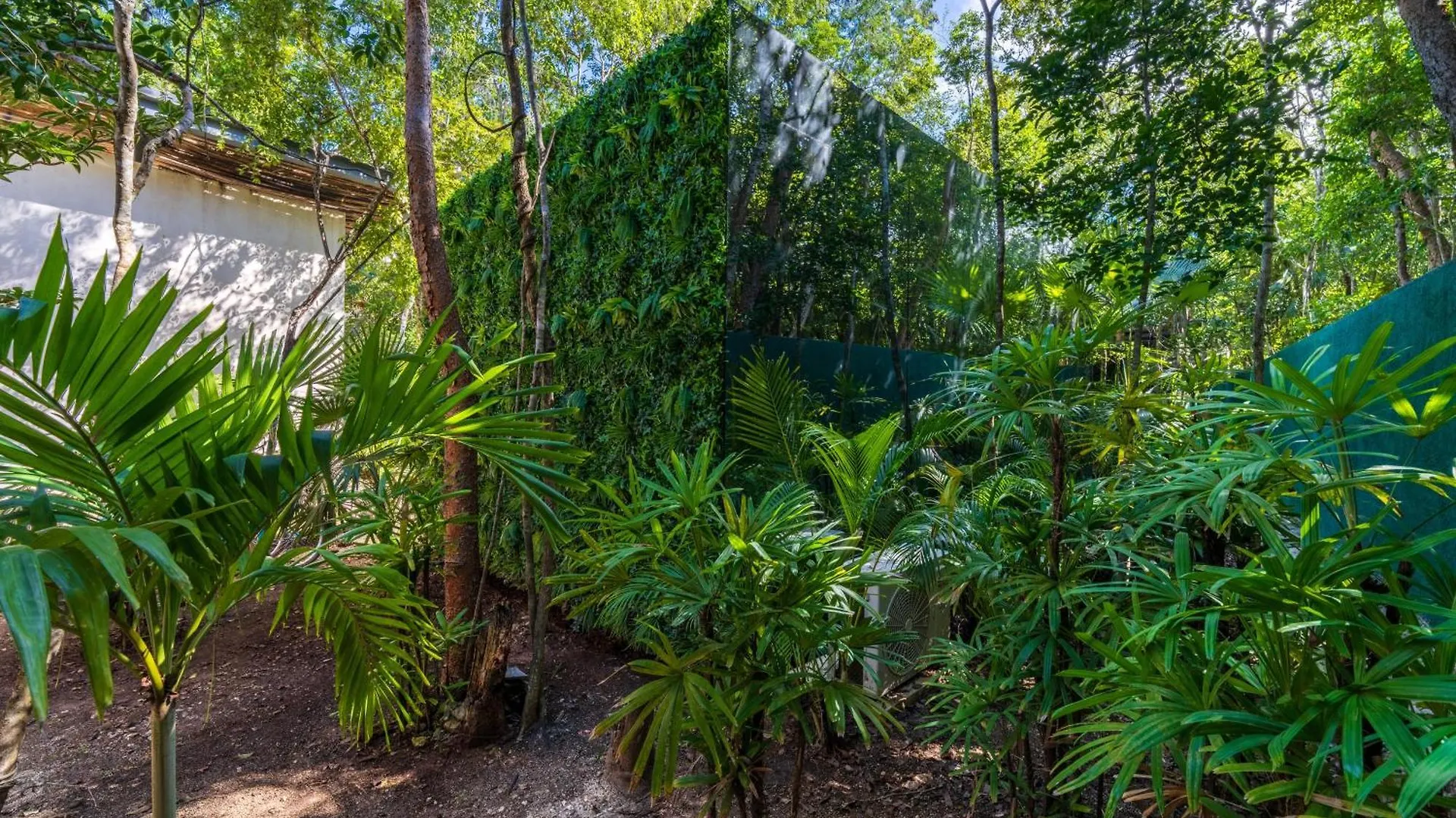 アパート Chay Glass Jungle House トゥルム メキシコ