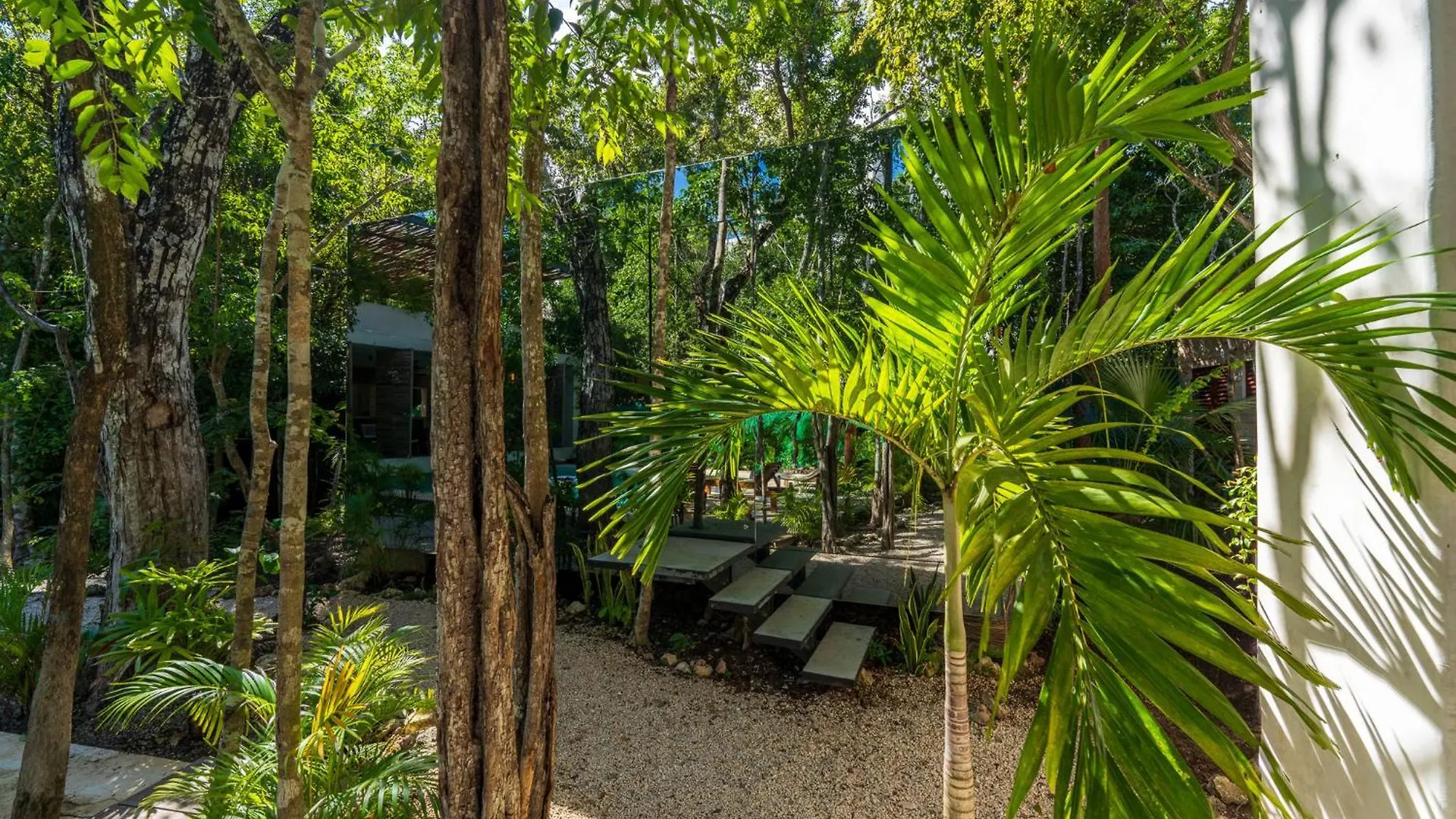 Chay Glass Jungle House 图卢姆 公寓